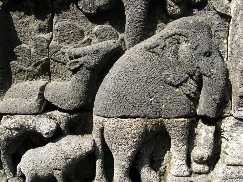 Elephant art buddhism