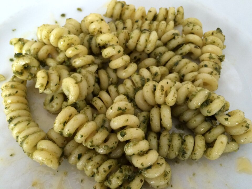 Italy delicious basil