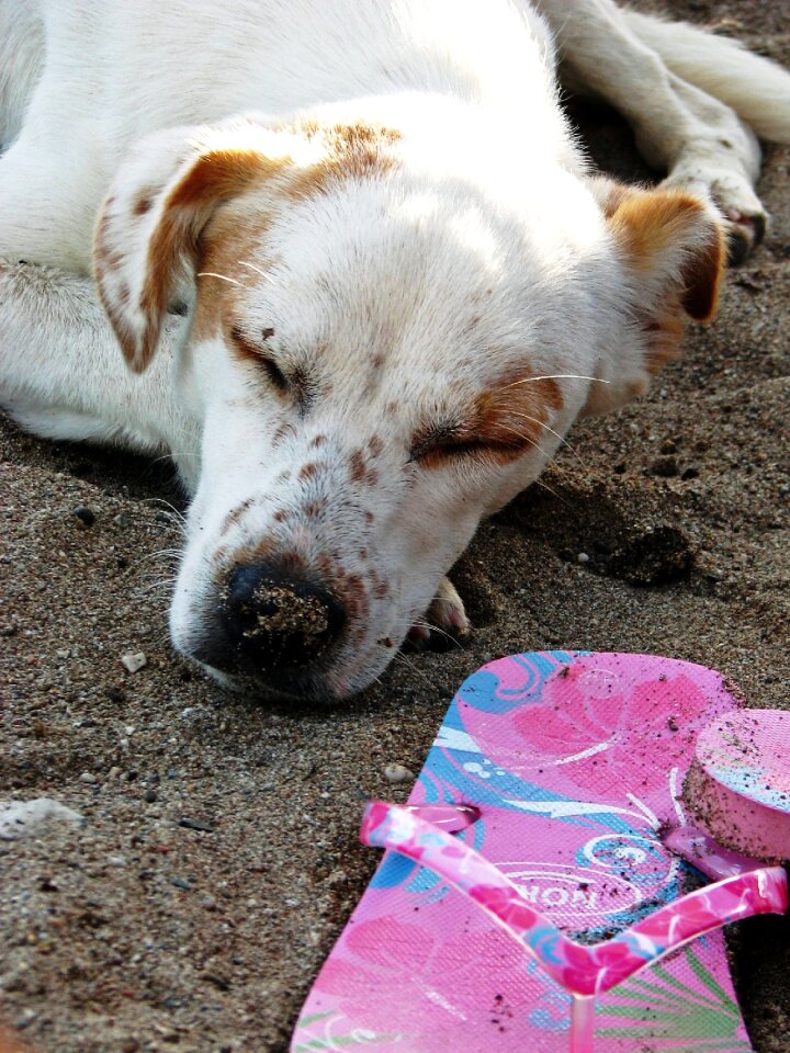 Sleep sand flip flops