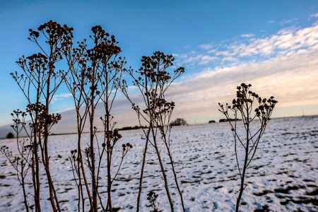 Clouds sky landscape photo