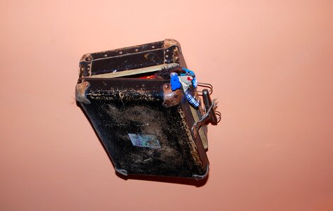Toy ceiling mole