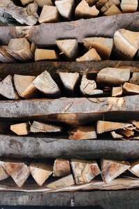 Growing stock log heat photo