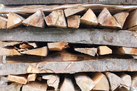 Growing stock log heat photo