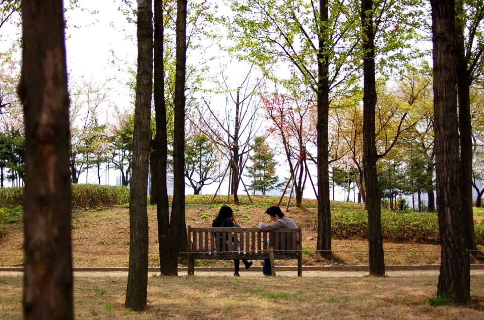 Seonyudo spring bench