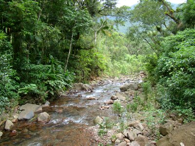 Nature waterfall stone