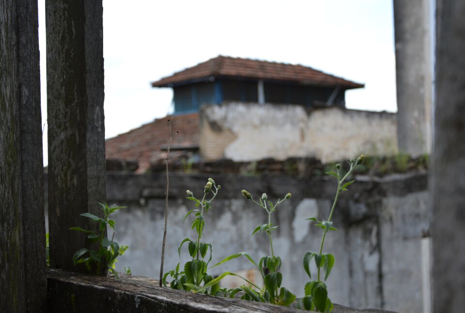 Abandoned house fear mato