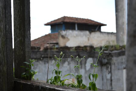 Abandoned house fear mato
