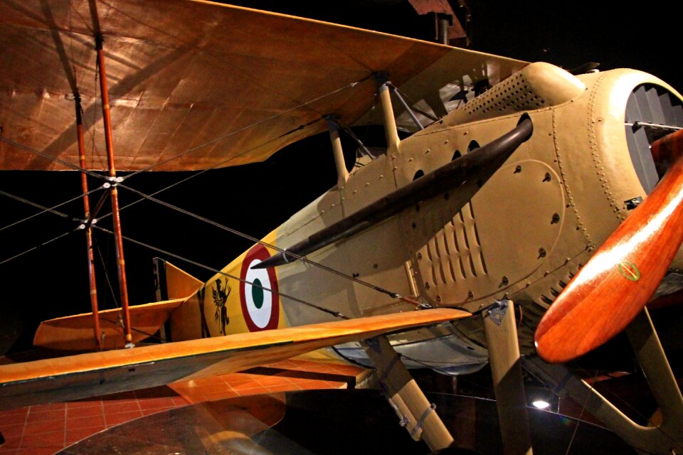 Lugo romagna museum
