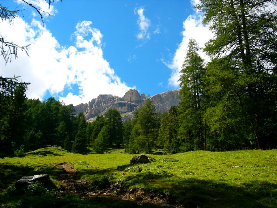 Dolomites prato green