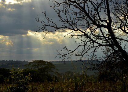 Sol nature brazil
