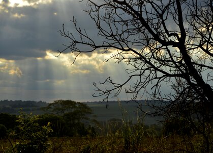 Sol nature brazil photo