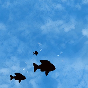 Silhouette texture underwater