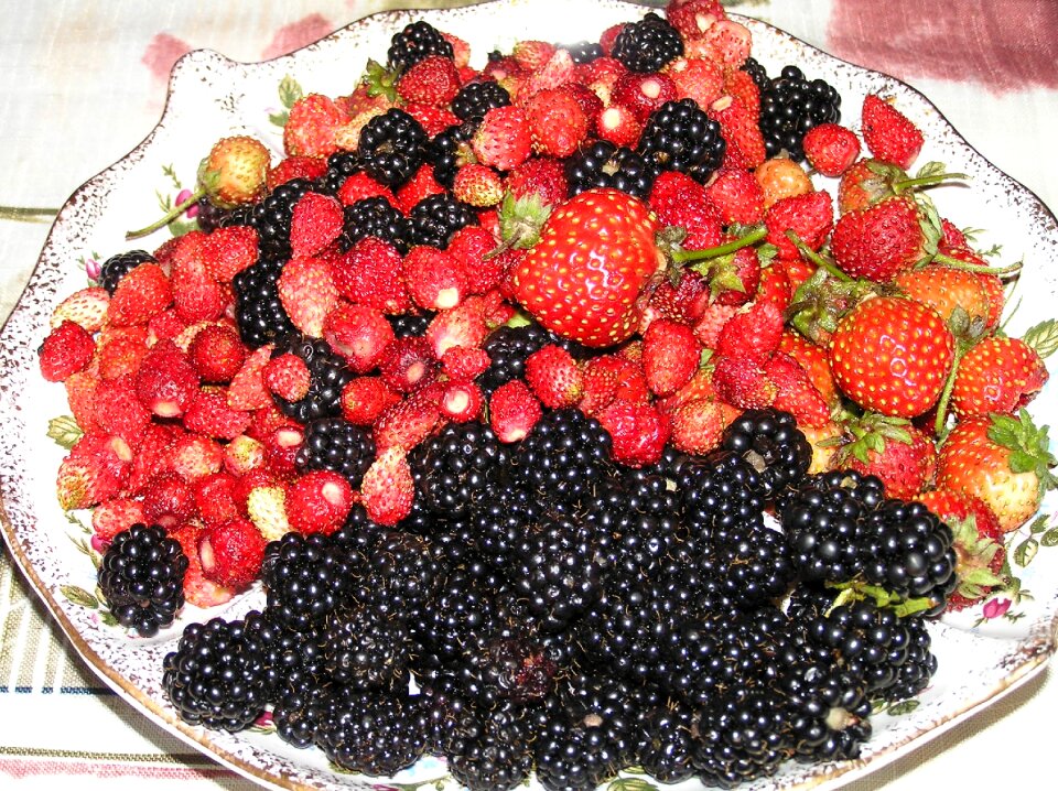 Harvest wild strawberry blackberry