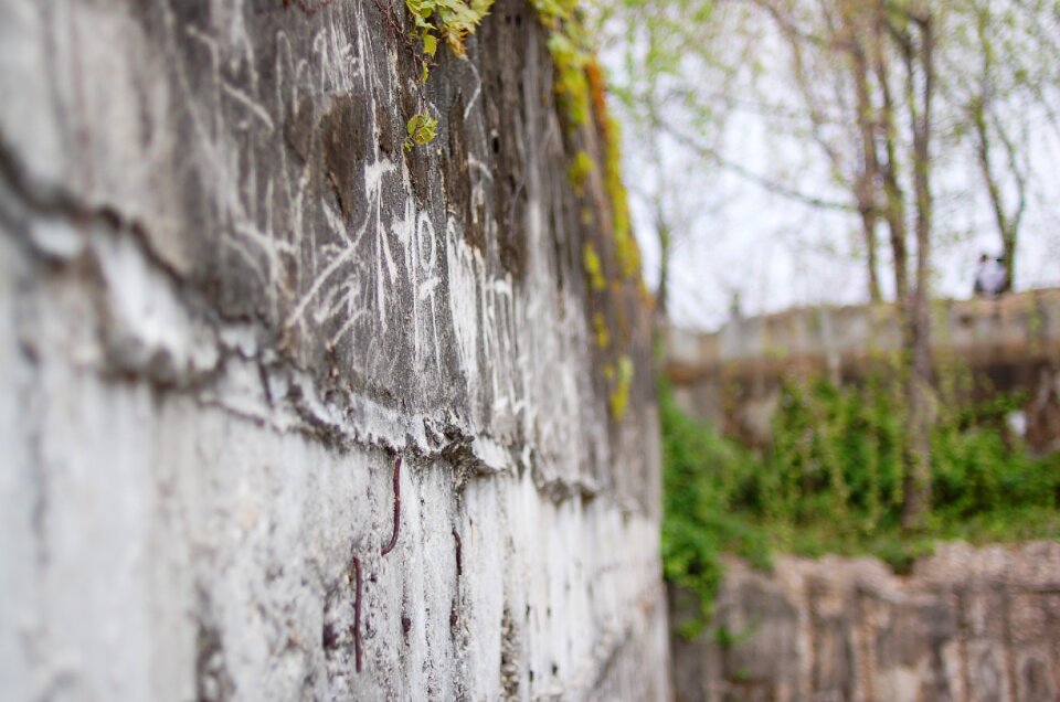 Graffiti wall seonyudo