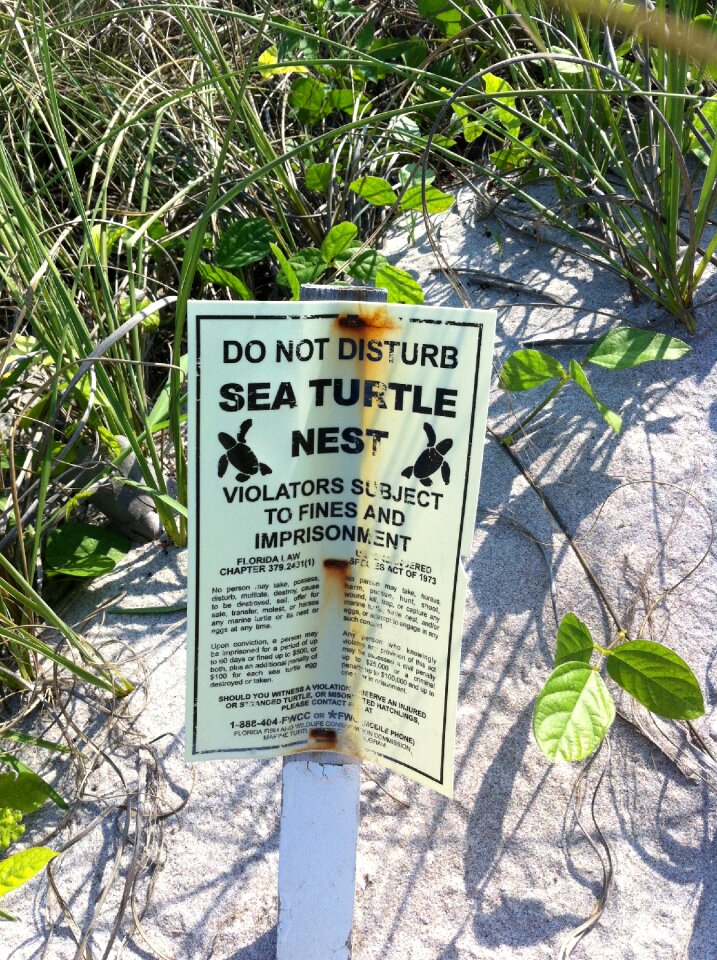 Poster notice florida
