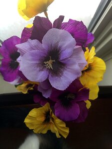 Pansies floral decoration photo