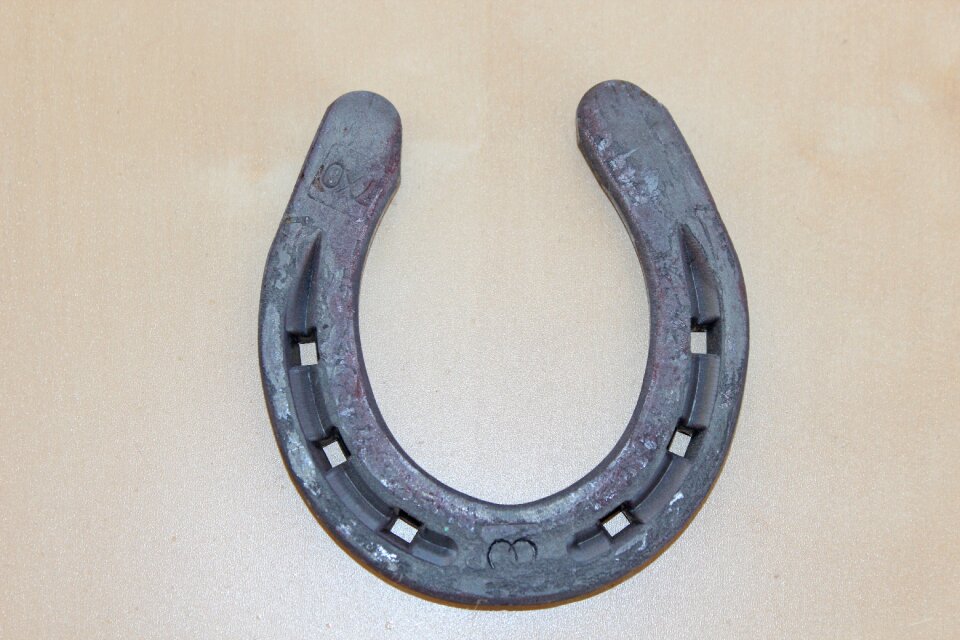 Horseshoe lucky charm decoration