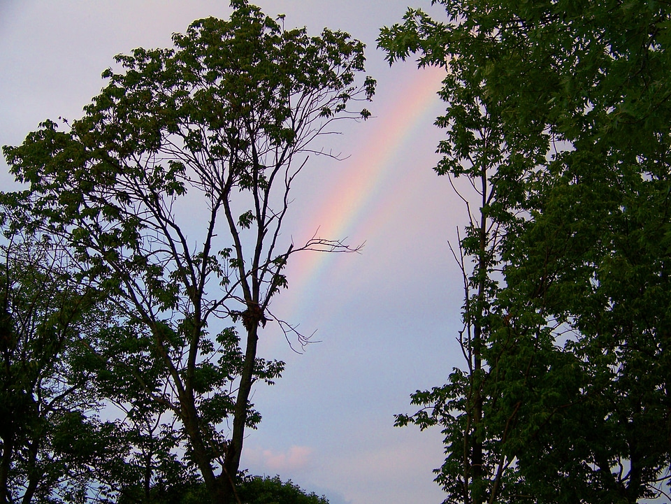 Colorful environment natural