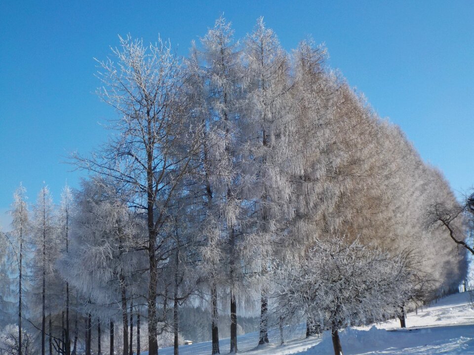 Frost sunshine mood
