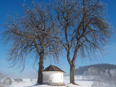 Fog sunshine landscape