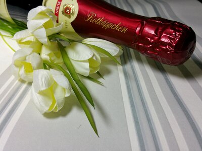 Romance flowers valentine's day photo