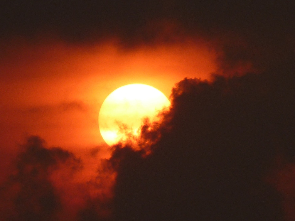 Mood sunset backlighting