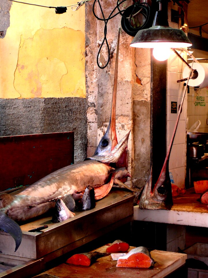 Sicily fish fisherman