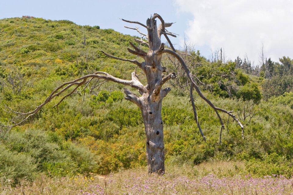 Natural travel greece