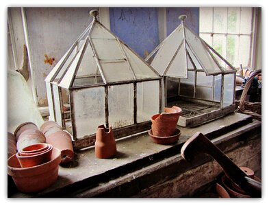 Cloche garden