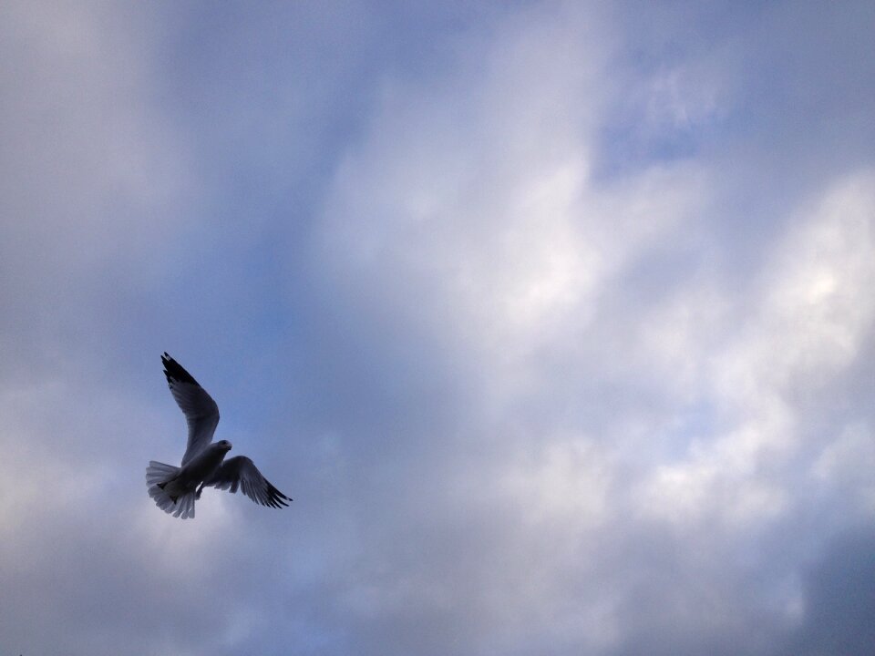 Clouds fly