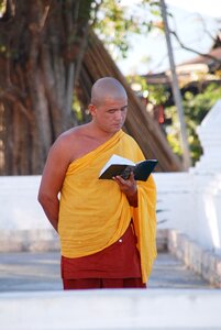 Monk buddhist myanmar photo