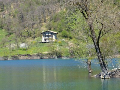 Water house lonely