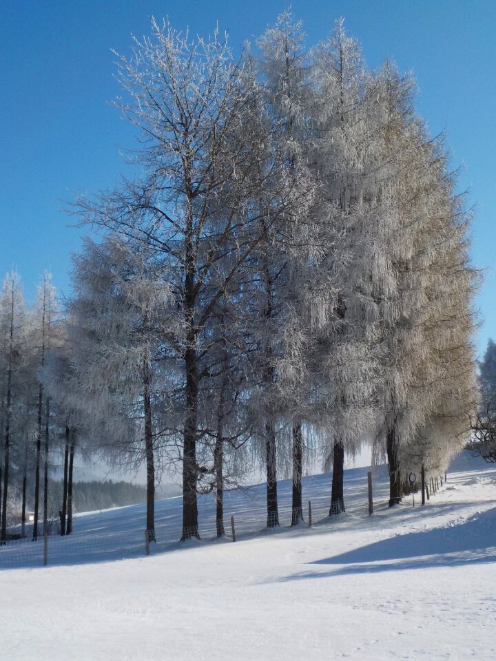 Frost sunshine mood