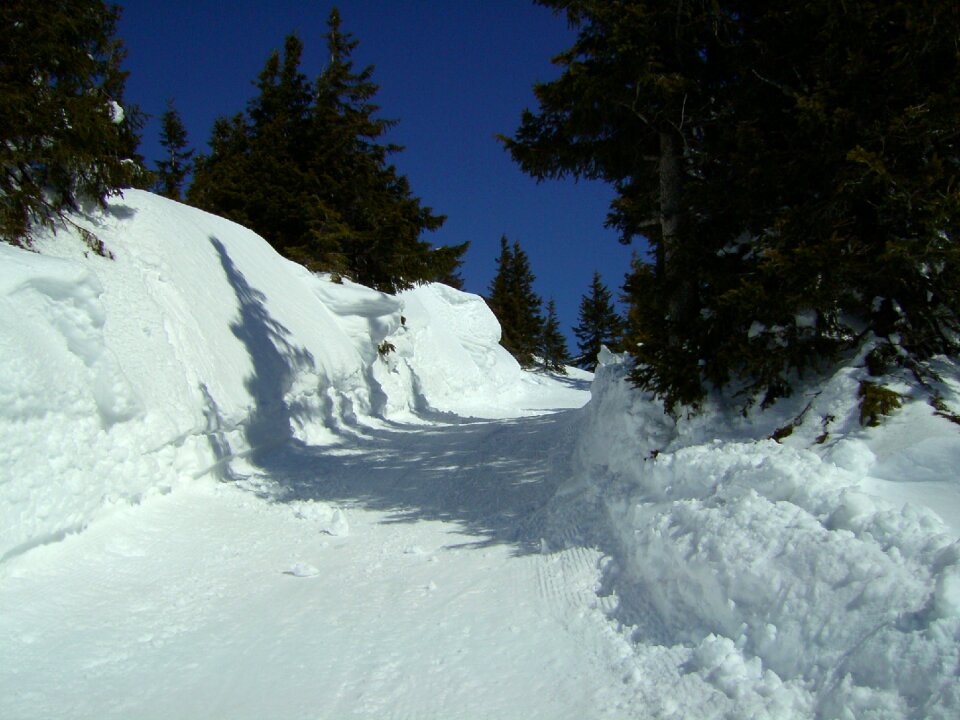 Winter dream white landscape
