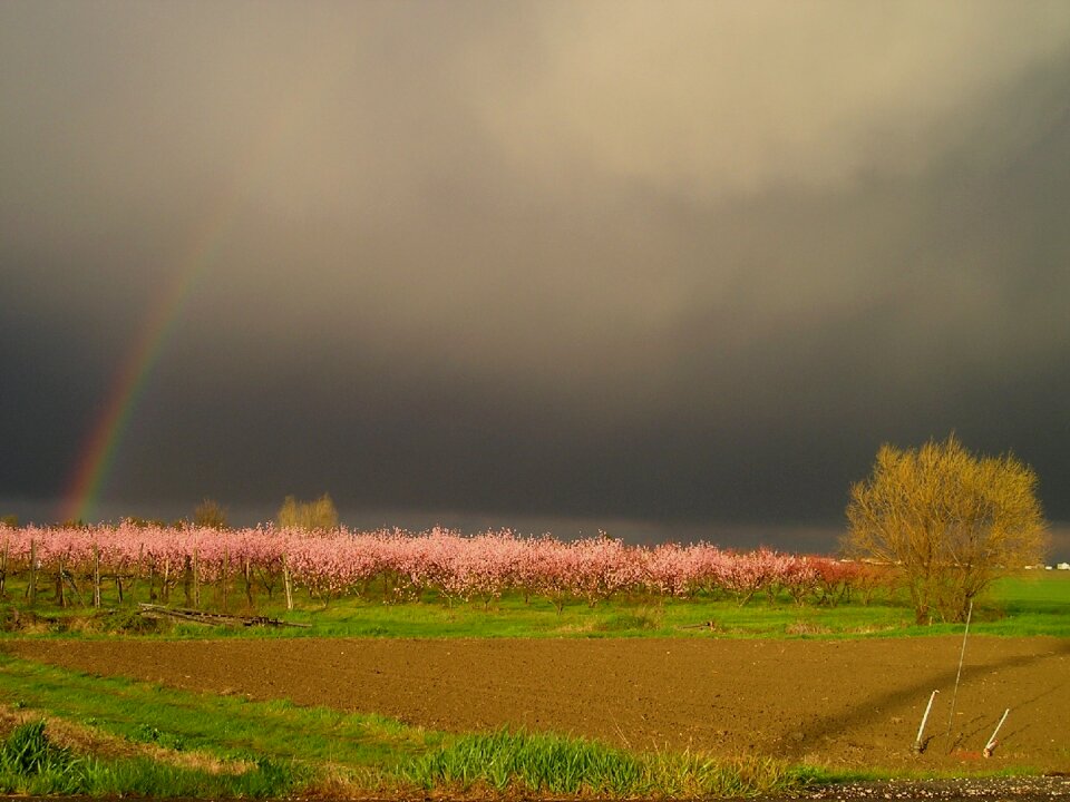 Thunderstorm rainbow spring