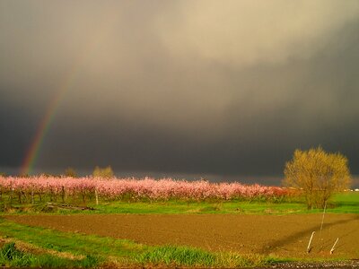 Thunderstorm rainbow spring