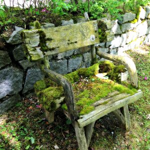 Out old weathered