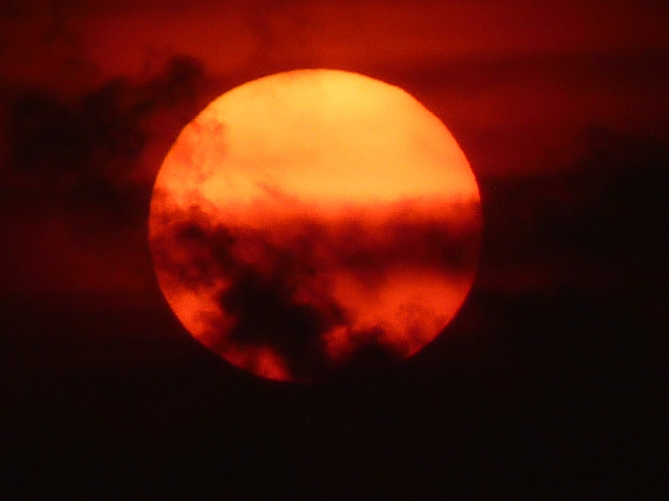 Mood sunset backlighting