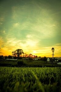 Nature sunny landscape