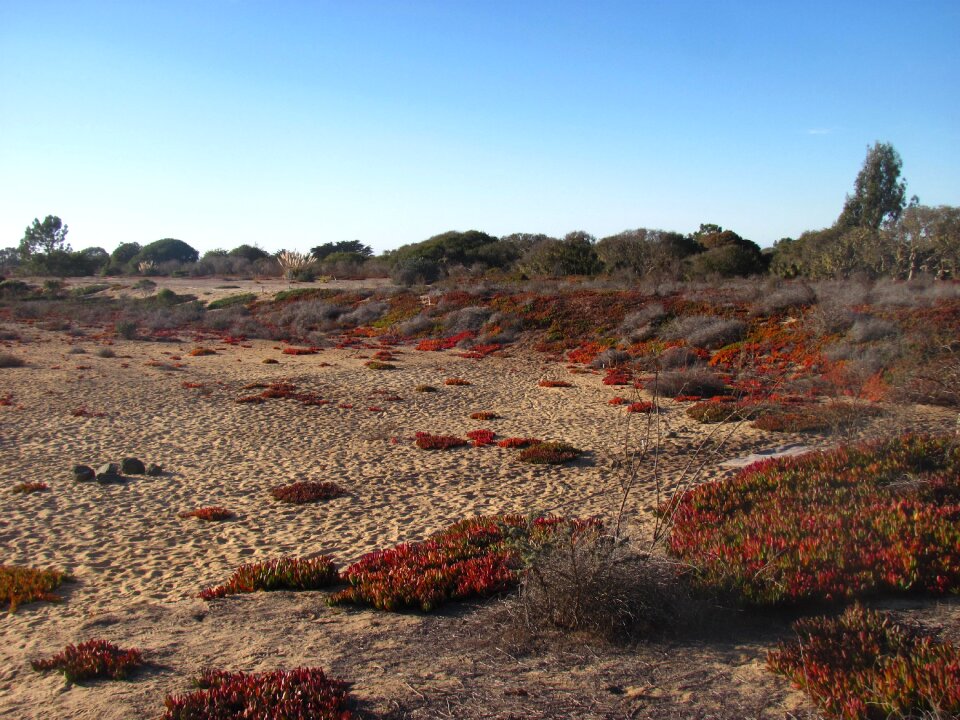 Outdoors environment land