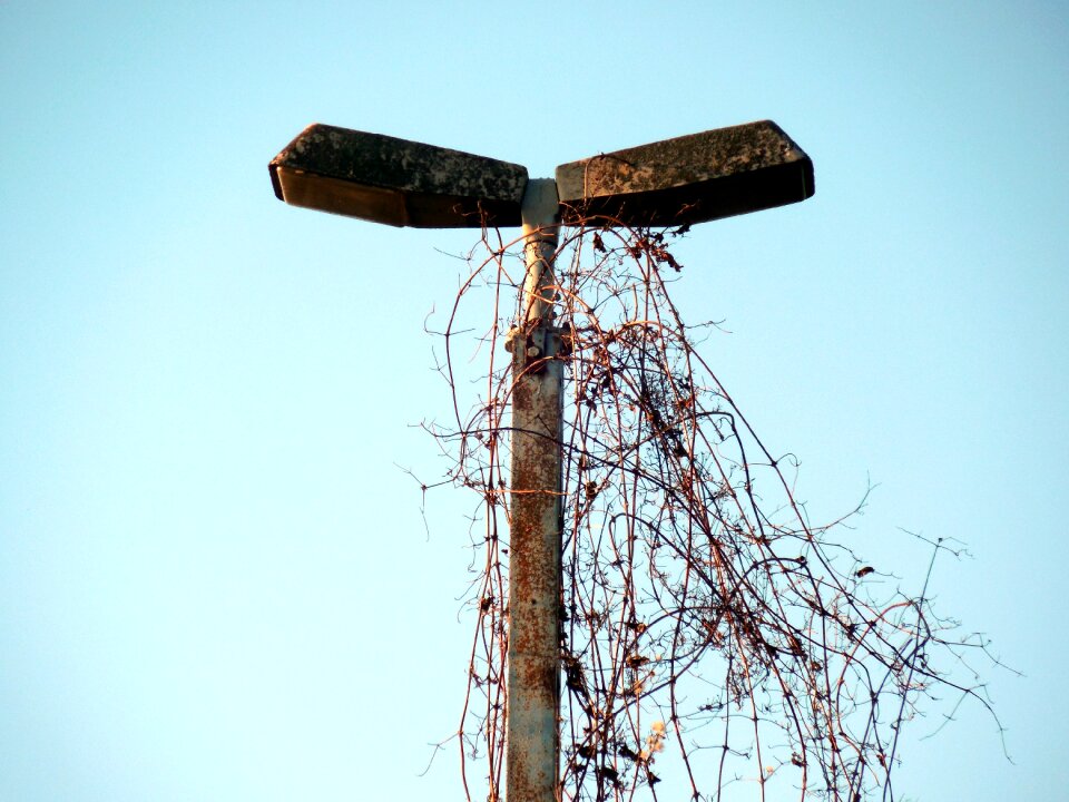 Weathered rust past