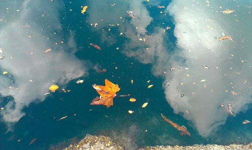Nature season lake