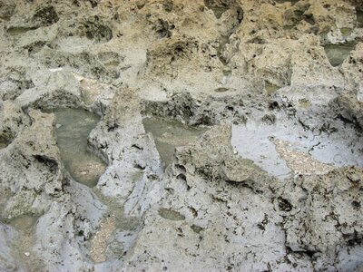 Grey nature texture