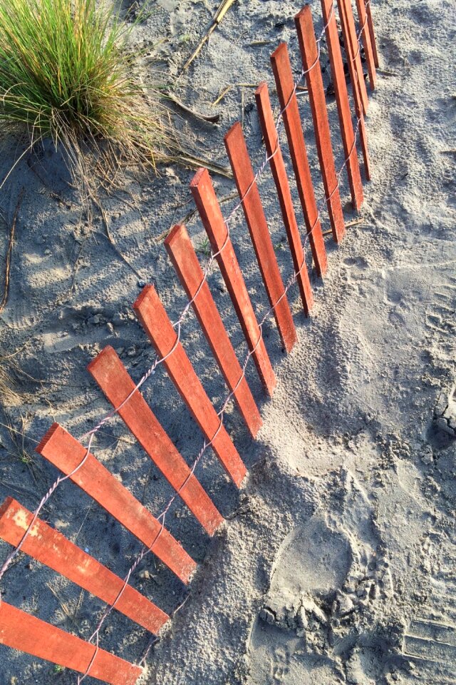 Sea vacation outdoor