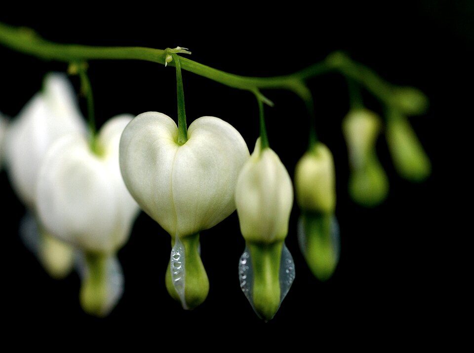 Mood romance nature