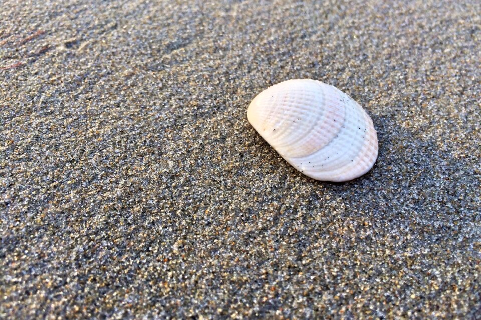 Ocean sea water