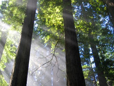 Mystical atmospheric light