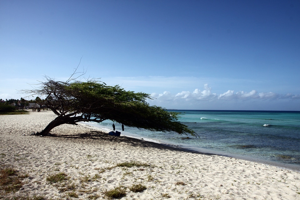 Sea vacations south sea