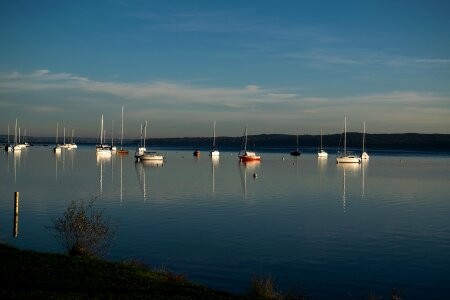 Nature blue mirroring