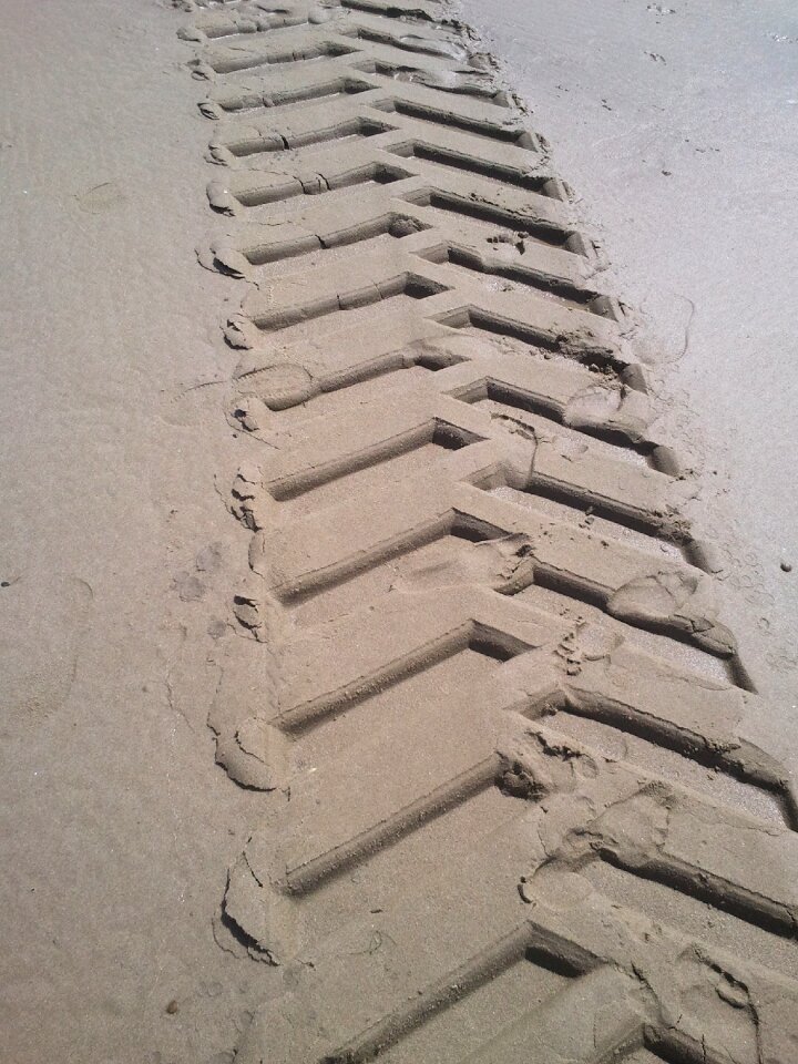 Sea tracks in the sand holland